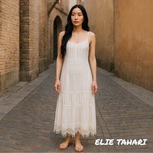 Elie Tahari Women's Silk Crepe Cream Lace Maxi Dress small